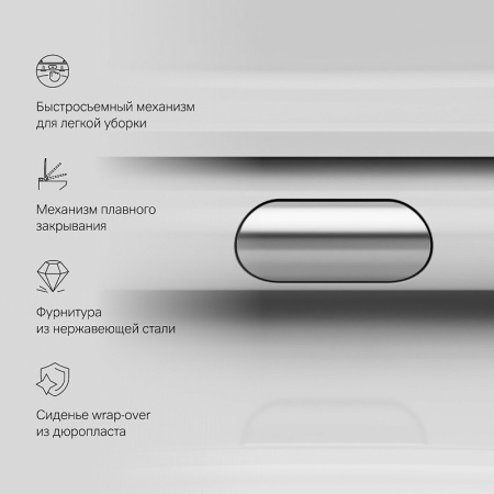 Унитаз AM.PM Sunny C85C8600SC с крышкой-сиденьем
