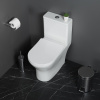 Унитаз-моноблок BelBagno Lounge BB8618CPR-MN/SC