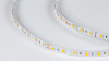 Лента светодиодная DesignLed DSG560 00-00000521