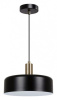 Подвесной светильник Arte Lamp Skat A7052SP-1BK