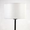 Настольная лампа декоративная Lighthall Blaze LH012064