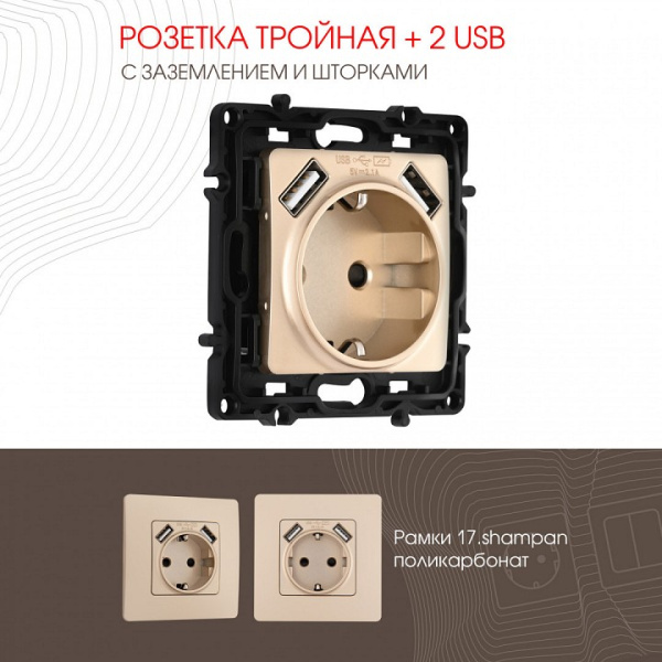 Розетка с заземлением и со шторкой и 2хUSB без рамки Arte Milano am-217 217.47-1.shampan
