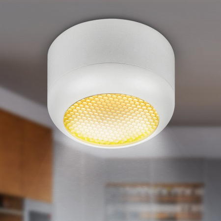 Накладной светильник Эра OL56 WH