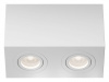 Накладной светильник Maytoni Technical Атом C017CL-02W