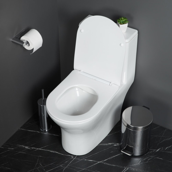 Унитаз-моноблок BelBagno Lounge BB8618CPR-MN/SC