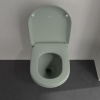 Подвесной унитаз Villeroy&Boch Antao 4674T0R8 утренний зеленый