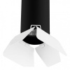 Накладной светильник Lightstar Rullo R437436