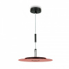 Подвесной светильник LIGHTERA Bamako LE143L-25R