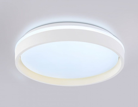 Накладной светильник Ambrella Light FZ FZ601