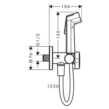 Гигиенический душ Hansgrohe Bidette 29230000