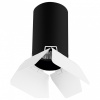 Накладной светильник Lightstar Rullo R437436