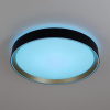 Накладной светильник Citilux BOSS CL751351G