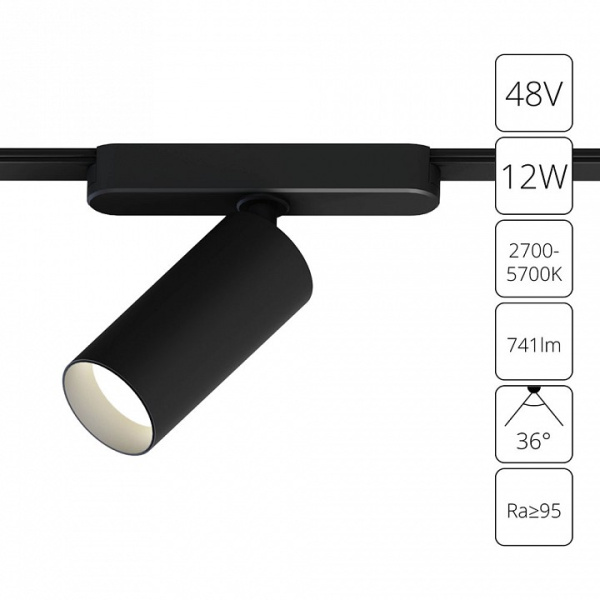 Светильник на штанге Arte Lamp Rapid A2958PL-1BK