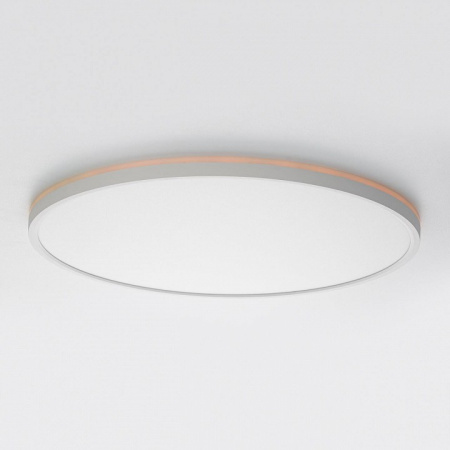 Накладной светильник Citilux NORMA CL749500