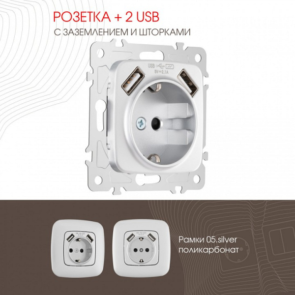 Розетка с заземлением и со шторкой и 2хUSB без рамки Arte Milano am-205 205.47-1.silver