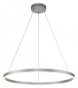 Подвесной светильник Indigo Galass 14001/1P Silver