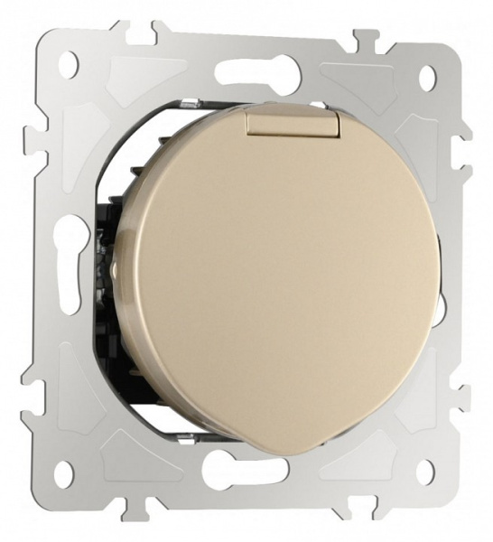 Розетка влагозащищенная с заземлением и со шторкой с крышкой Arte Milano am-202 202.41-1.shampan