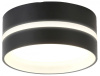 Накладной светильник Ambrella Light TN TN5389
