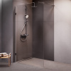 Душевая перегородка AM.PM X-Joy W94UWI-120-F1-MTE матовый хром