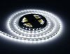 Лента светодиодная Ambrella Light GS GS4003