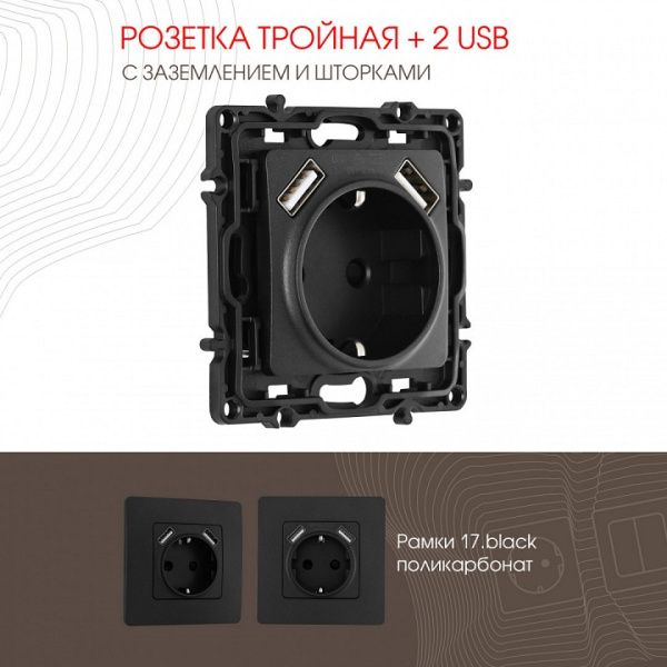 Розетка с заземлением и со шторкой и 2хUSB без рамки Arte Milano am-217 217.47-1.black