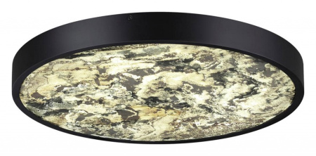 Накладной светильник Odeon Light Bergi 5064/40L