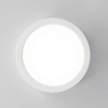 Накладной светильник Citilux Галс CL5516N
