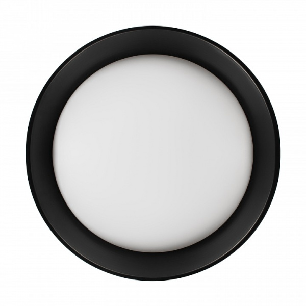 Накладной светильник Loft it Coin 10202 BB