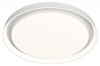 Накладной светильник Denkirs Cany DK6515-WH