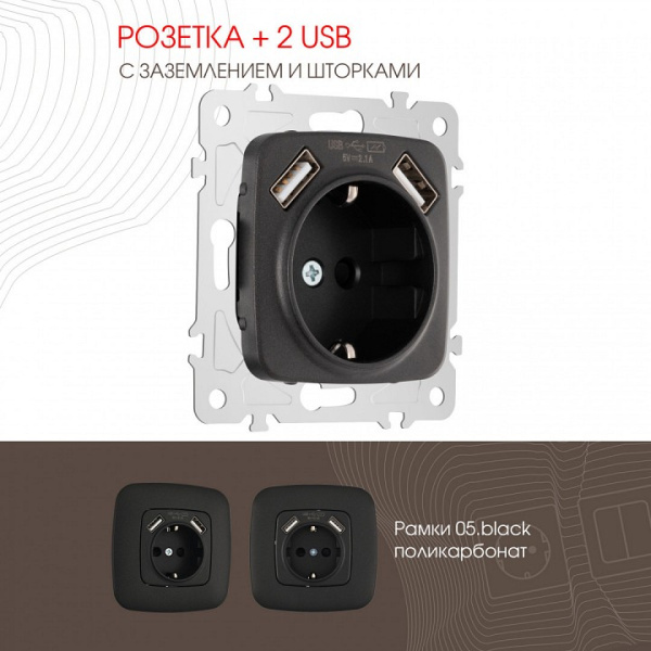 Розетка с заземлением и со шторкой и 2хUSB без рамки Arte Milano am-205 205.47-1.black