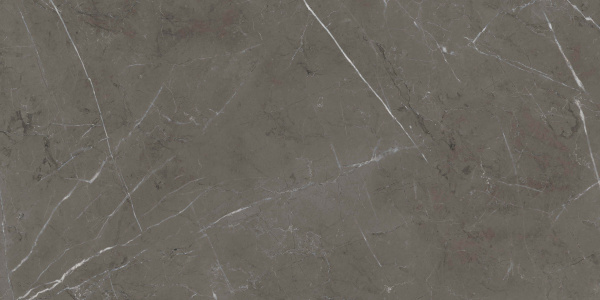 ABK Sensi 900 Керамогранит неглазурованный (UGL) Stone Grey 60x120 полированный