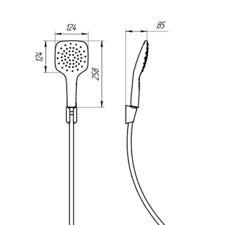 Лейка для душа Paini Pescara PSCR131