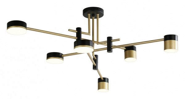 Потолочная люстра Favourite Modul 4013-6P