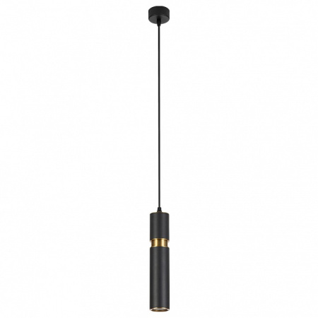 Подвесной светильник Arte Lamp Ran A3145SP-1BK