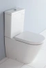 Чаша напольного безободкового унитаза BelBagno Flay-R BB007CPR