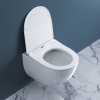 Подвесной унитаз BelBagno Amanda BB051CHR