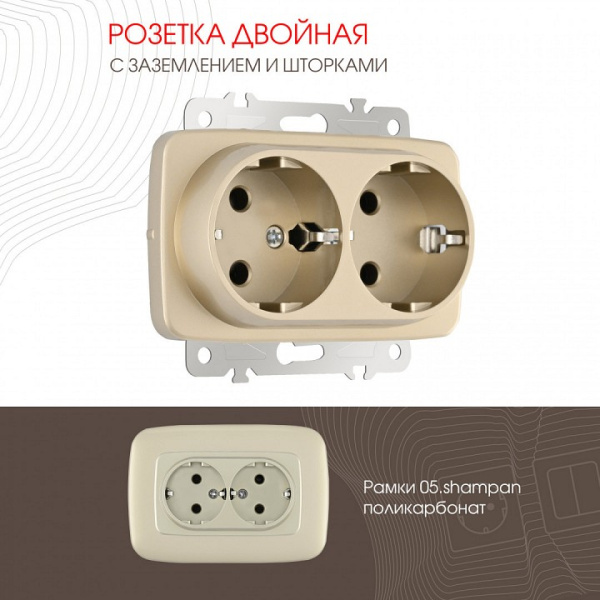 Розетка двойная с заземлением без рамки Arte Milano am-205 205.40-2.shampan