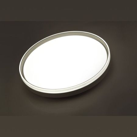 Накладной светильник Sonex PALE 7627/ELN