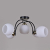 Потолочная люстра ILLUMICO  IL0250-5CSQ-79 BK AB