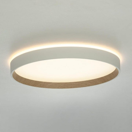 Накладной светильник Citilux ETALON CL750320R