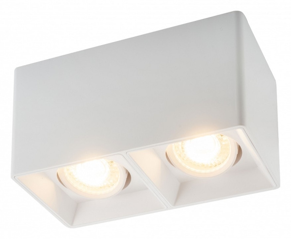Накладной светильник Denkirs DK3030 DK3035-WH