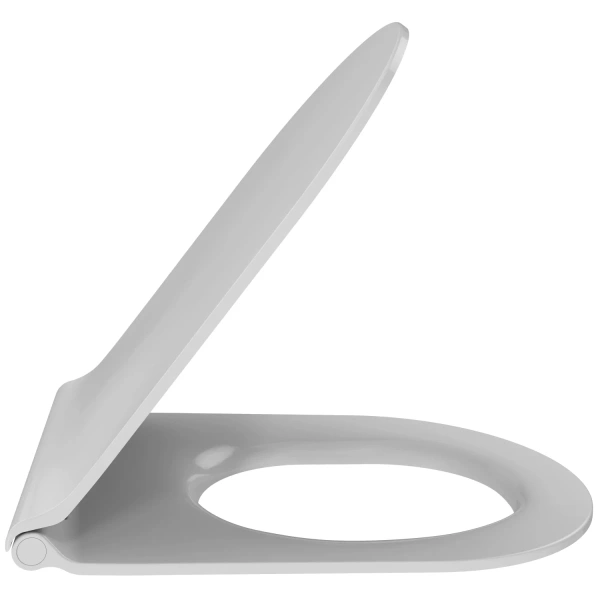 Унитаз подвесной Jacob Delafon Rodin+ EDY102-00 + E23280-00 безободковый, с сиденьем микролифт, белый