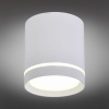Накладной светильник Omnilux Capurso OML-102409-05
