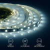 Лента светодиодная Apeyron Electrics  00-02