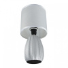 Настольная лампа декоративная Lumion EVANA 8172/1T