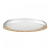 Накладной светильник Citilux MEGA CL752452G