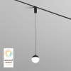 Подвесной светильник Denkirs SMART Мун DK8056-BK