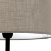 Настольная лампа декоративная Lighthall Nova LH052053