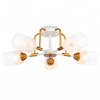 Потолочная люстра Ambrella Light TR TR303323