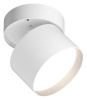 Спот Wolta BASIC WSL-GX53 WSL-GX53/02W